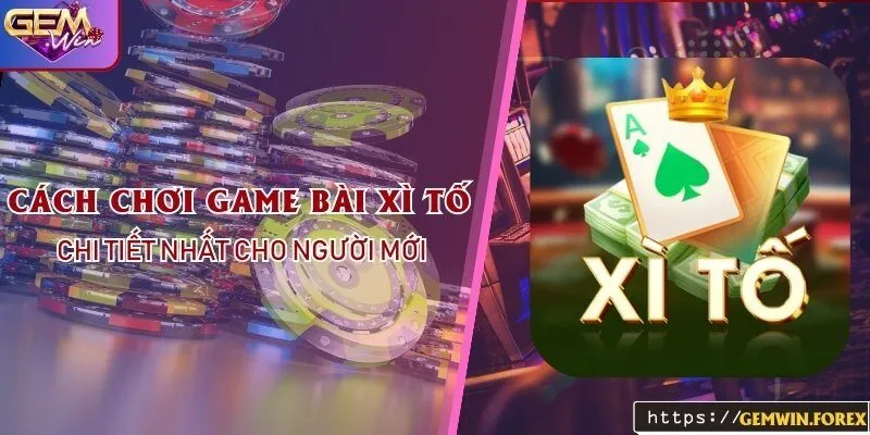 Cách Chơi Game Bài Xì Tố Tại Gemwin Chi Tiết Nhất Cho Người Mới