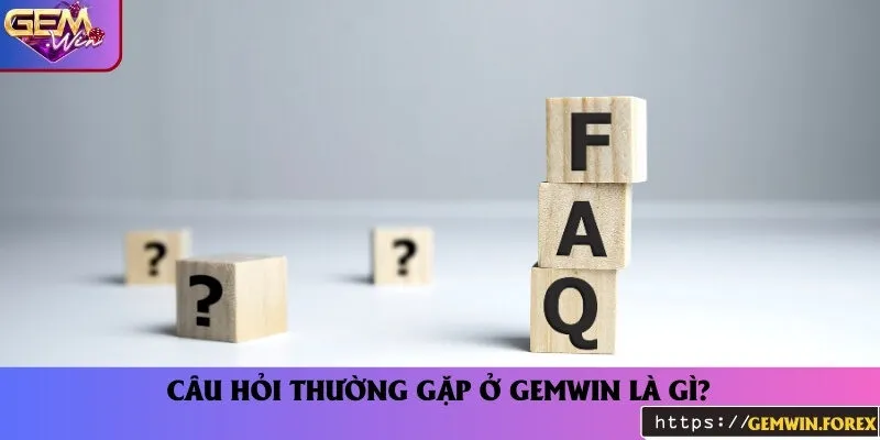 Câu hỏi thường gặp xoay quanh vấn đề gì?