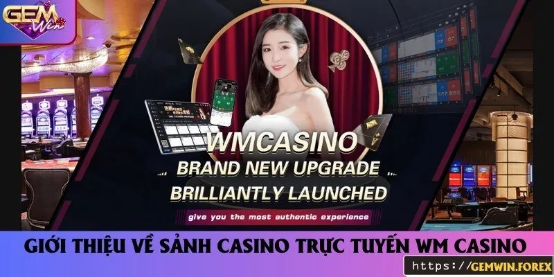 Những thông tin thú vị về nền tảng casino trực tuyến WM