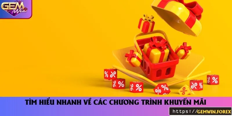 Giới thiệu sơ qua về các chương trình khuyến mãi