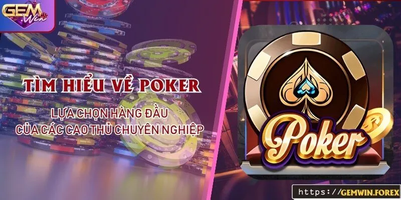 Tìm hiểu về poker - Lựa chọn hàng đầu của các cao thủ chuyên nghiệp