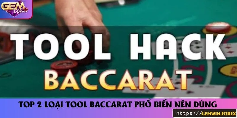 Hiện nay có những loại tool phổ biến nào?