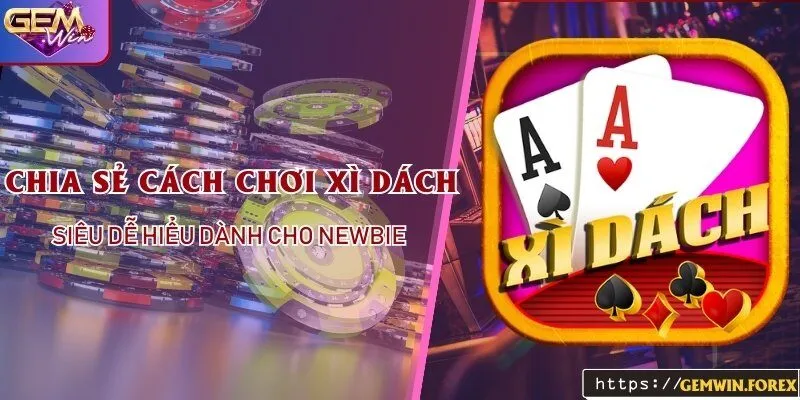 Chia sẻ cách chơi xì dách siêu dễ hiểu dành cho newbie