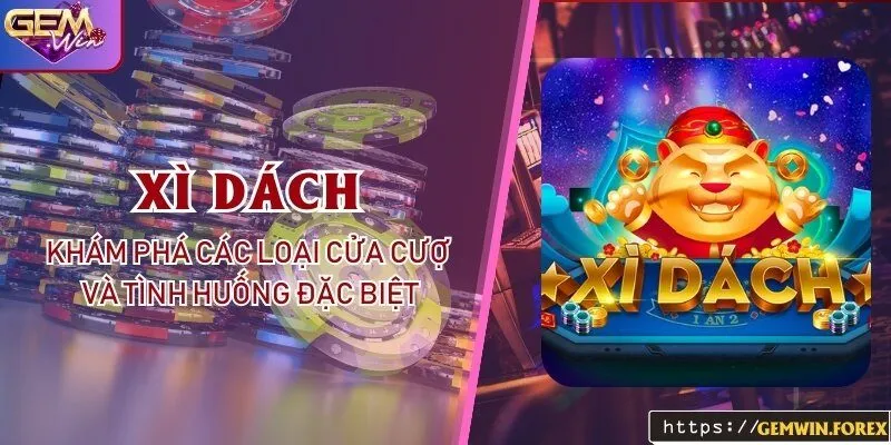 Xì dách - Khám phá các loại cửa cược và tình huống đặc biệt